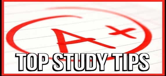 Read more about the article Top 10 Tips to Study Smart